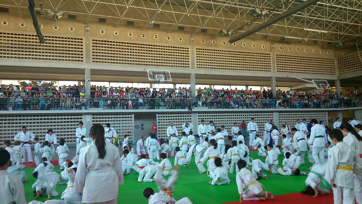Gran participaci&oacute;n en los Juegos Infantiles de Judo 30-05-15. FOTOS.